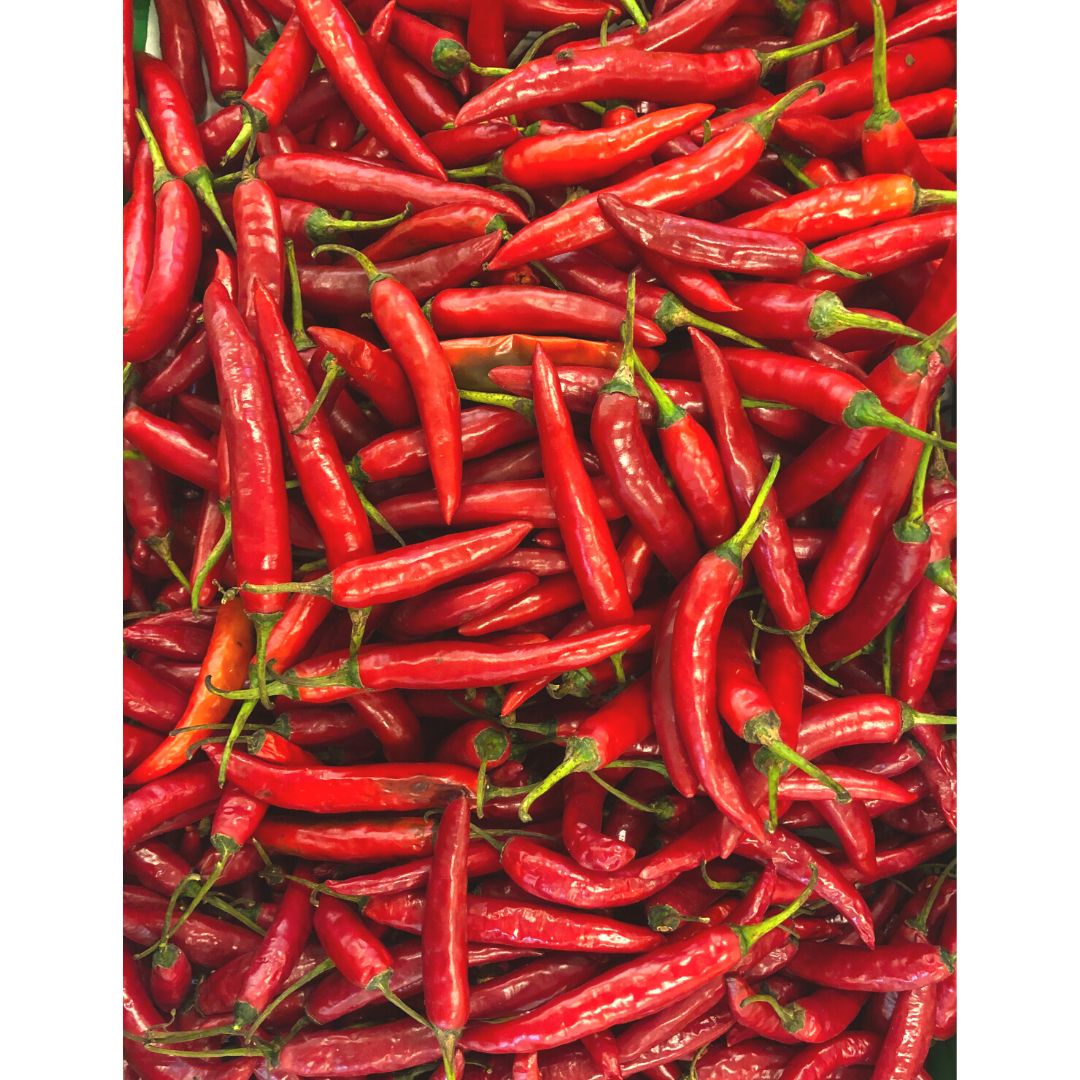 Guindilla Rojo Fresca | Red Chilli -100g