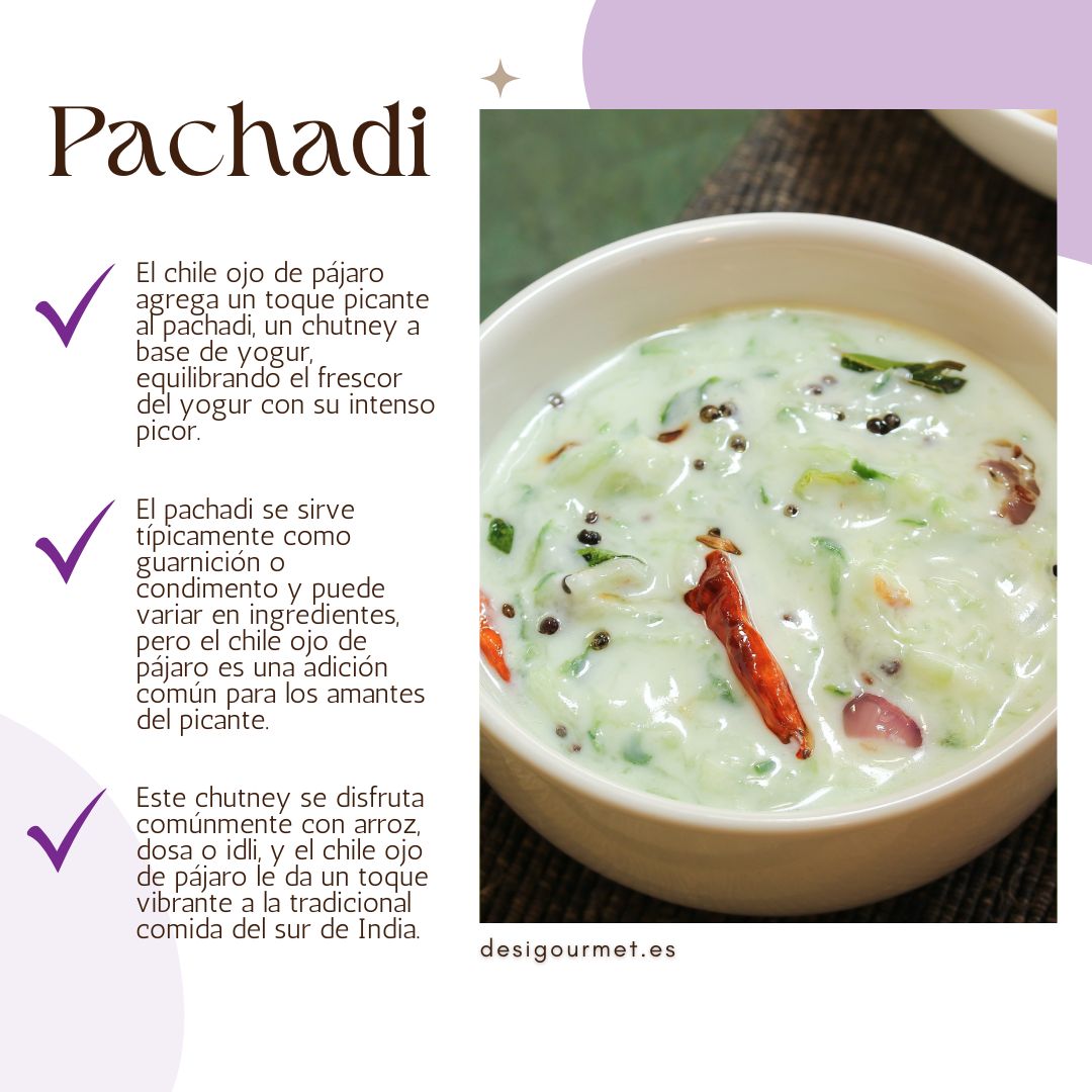 El chile ojo de pájaro agrega un toque picante al pachadi, un chutney a base de yogur, equilibrando el frescor del yogur con su intenso picor.
El pachadi se sirve típicamente como guarnición o condimento y puede variar en ingredientes, pero el chile ojo de pájaro es una adición común para los amantes del picante.
Este chutney se disfruta comúnmente con arroz, dosa o idli, y el chile ojo de pájaro le da un toque vibrante a la tradicional comida del sur de India.