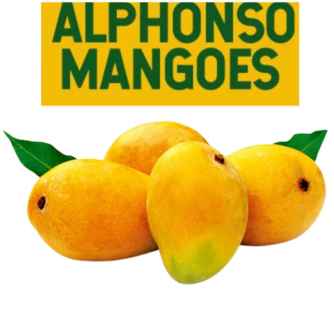 Mango fresco Alfonso | Fresh Alphonso Mango box (12pcs.)