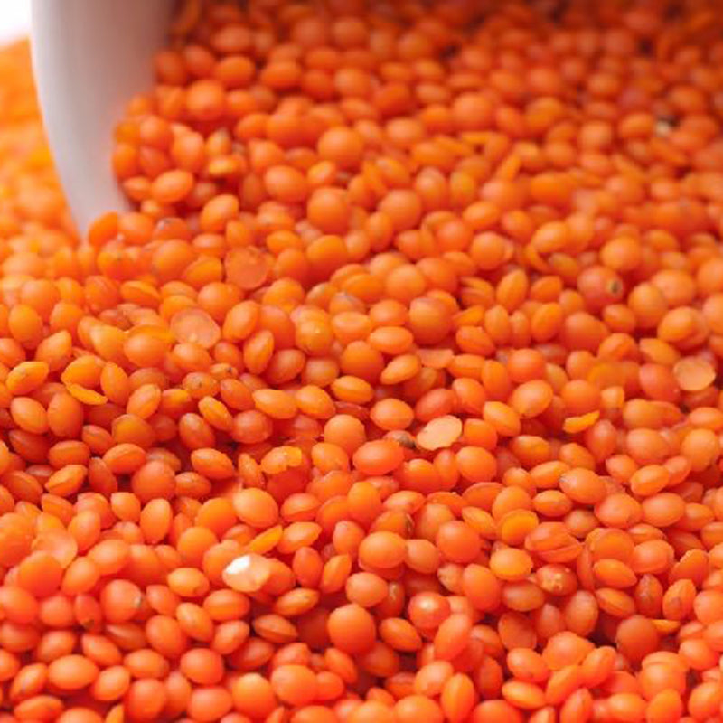 Lentejas Rojas (Lens culinaris) | Red Lentils | Masoor dal 2kg Natco