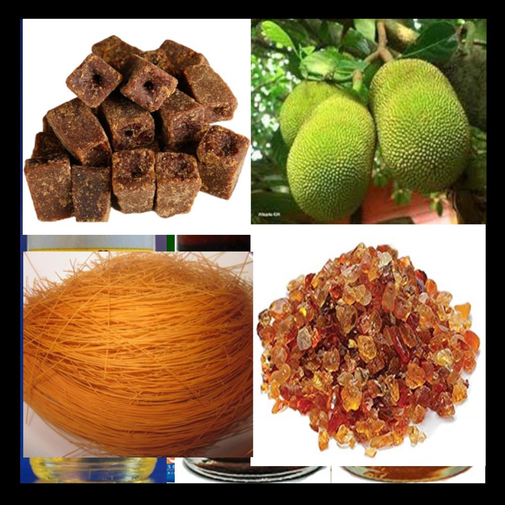 Ingredientes Tradicionales | Traditional Ingredients