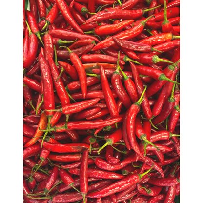 Guindilla Rojo Fresca | Red Chilli -100g