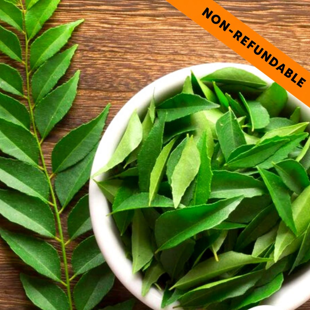 Hojas de curry fresca | Curry leaves fresh (Bunch) 50g