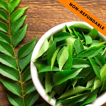 Hojas de curry fresca | Curry leaves fresh (Bunch) 50g