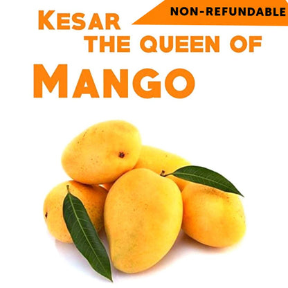 Mango fresco Kesar | Fresh Kesar Mango box 6pcs.
