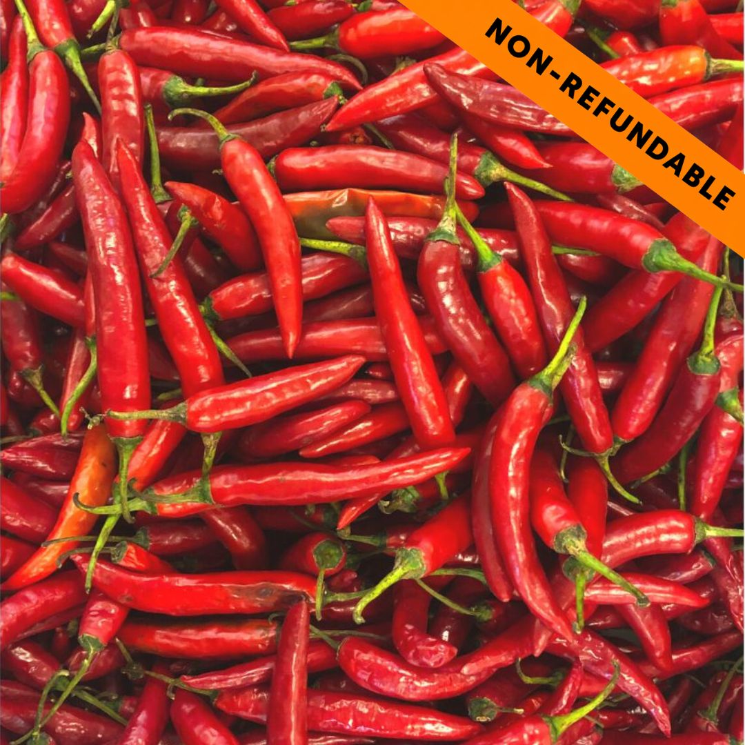 Guindilla Rojo Fresca | Red Chilli -100g
