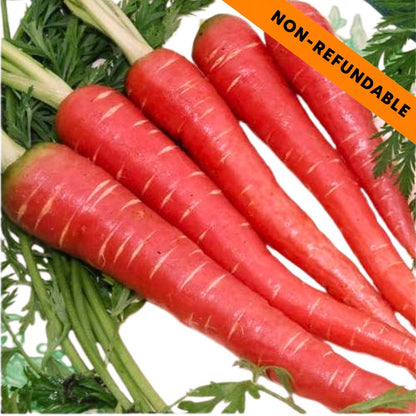 ताज़ा भारतीय गाजर (गाजर) 500 ग्राम