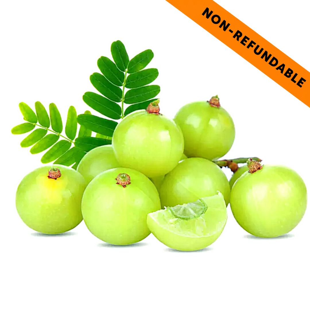 Amla Fruta congelado | Indian Gooseberry |  Frozen Amla 500g