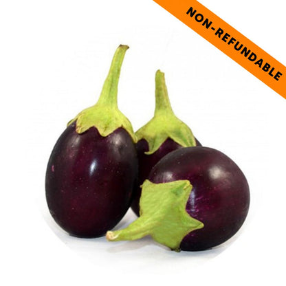 Eggplant | Indian Small (Baingan) Brinjal - 500g