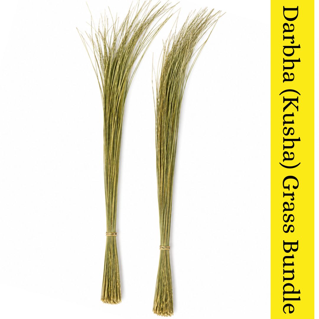 Manojo de hierba sagrada Darbha (Kusha) para pooja | Darbha (Kusha) Sacred Grass Bundle for Pooja - 1 Bundle