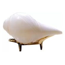 Cargar imagen en el visor de la galería, Caracola que sopla | Blowing Conch Shell | Pure Natural Shankh Medium Size with Loud Echo Sound