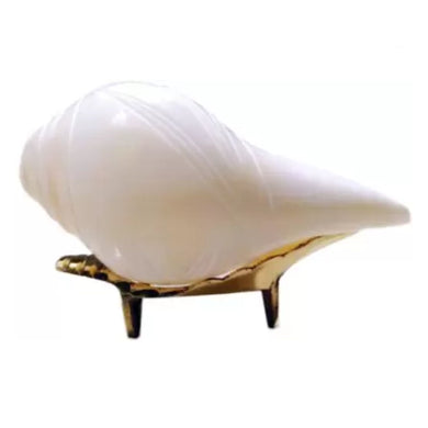 Caracola que sopla | Blowing Conch Shell | Pure Natural Shankh M Size with Loud Echo Sound