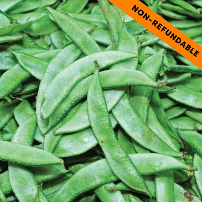 Judías planas Indias | Flat Beans | Valor Papdi Beans 500g