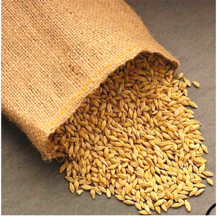 Cebada en grano | Jau (Barley Grains) | Barley Whole (Granel/Loose ) 50g