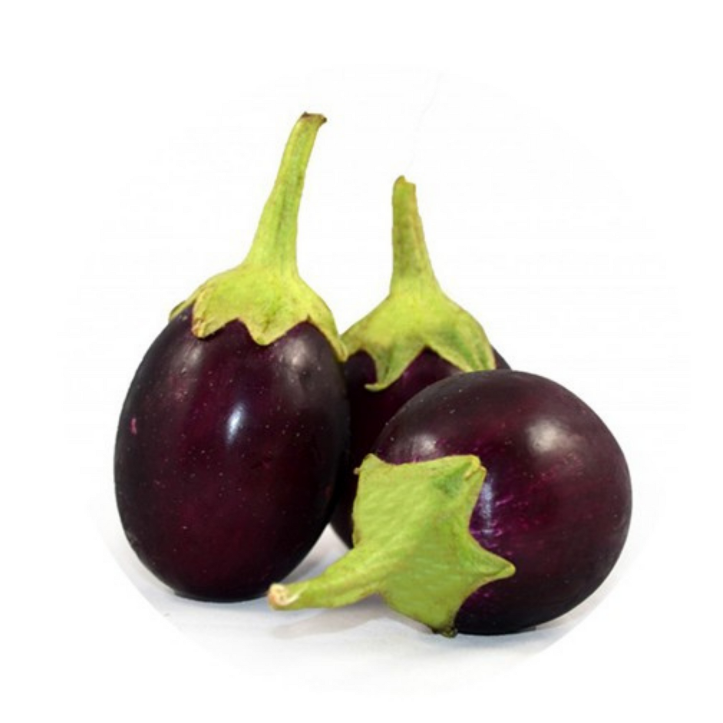 Eggplant | Indian Small (Baingan) Brinjal - 500g