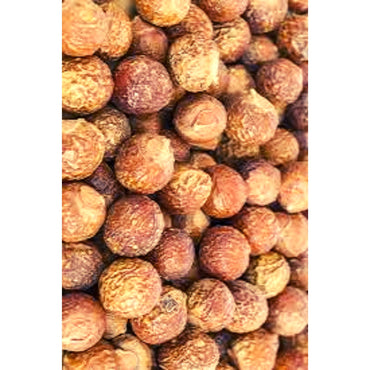 Soap Nuts (Sapindus mukorossi) | Soapnuts | Dry Whole Reetha (Bulk/Loose) 50g
