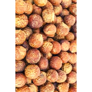 Nueces de Jabón (Sapindus mukorossi) | Soapnuts | Dry Whole Reetha (Granel/Loose) 50g