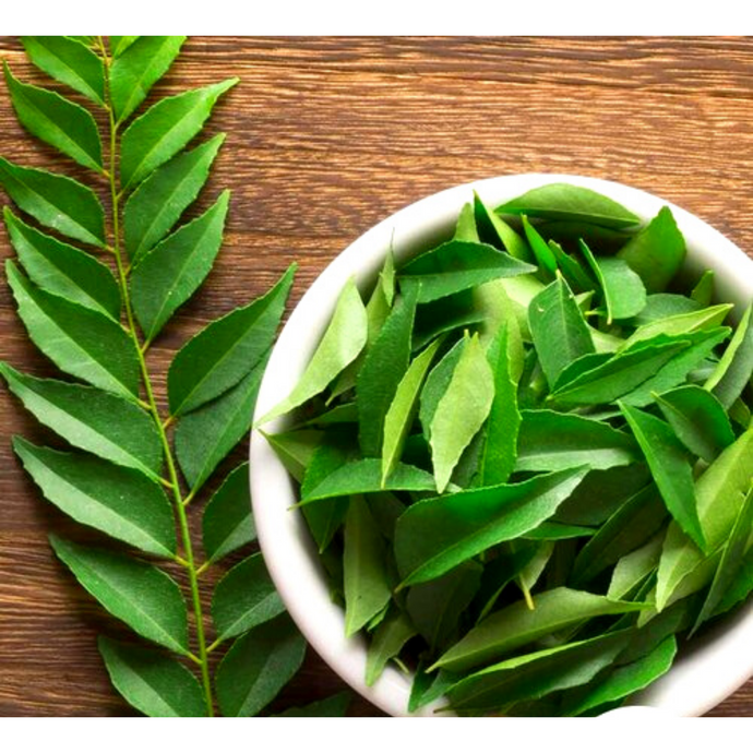 Hojas de curry fresca | Curry leaves fresh (Bunch) 35g