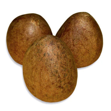 Coco seco | Dried Whole Coconut | Coconut Whole (Copra) 250g Telugu Foods