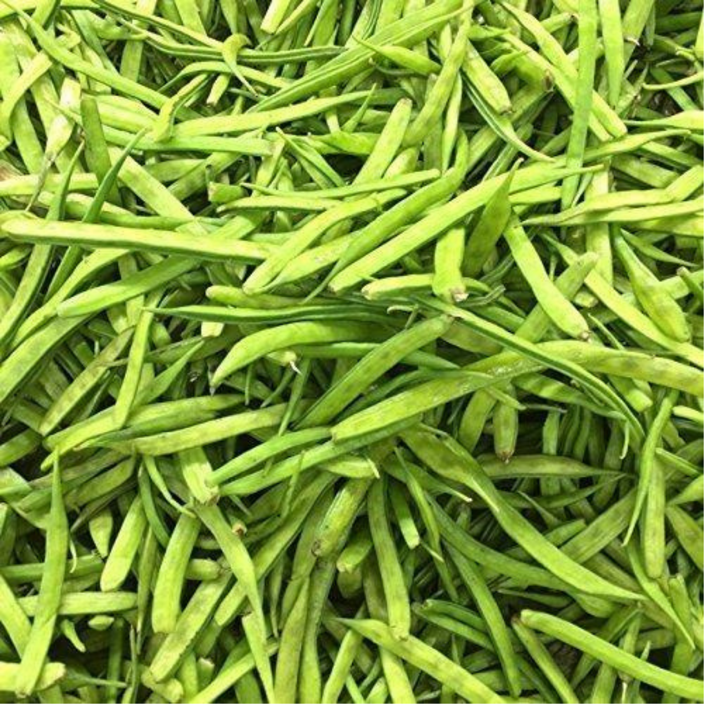 Goma Guar | Cluster bean | Guar (Gwar) 500g (Frozen)