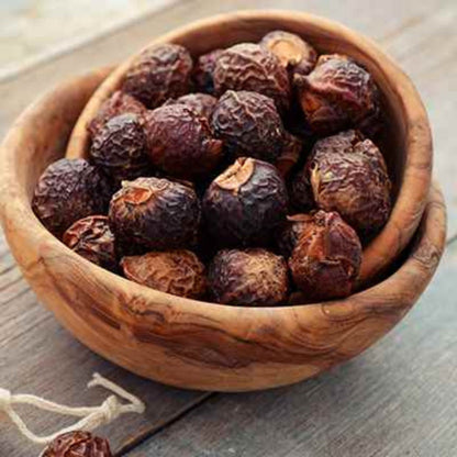 Nueces de Jabón (Sapindus mukorossi) | Soapnuts | Dry Whole Reetha 100g KRG
