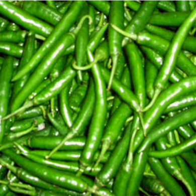 Guindilla verde Fresca | Green Chilli fresh -100g